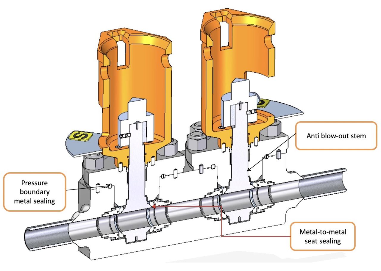 Screenshot 2025-05-21 alle 21.50.36 - dimensioni grandi
