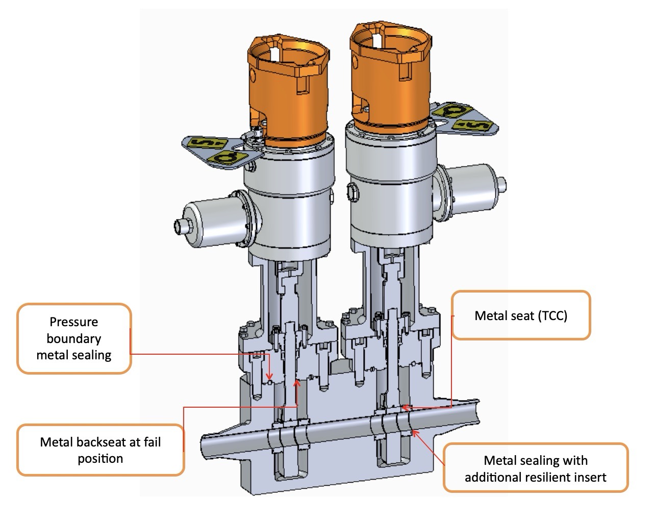 Screenshot 2025-05-21 alle 21.55.42 - dimensioni grandi